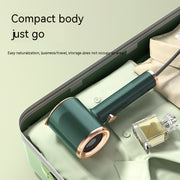 Mini Portable Steamer